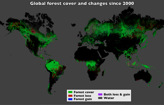 forest-cover-global
