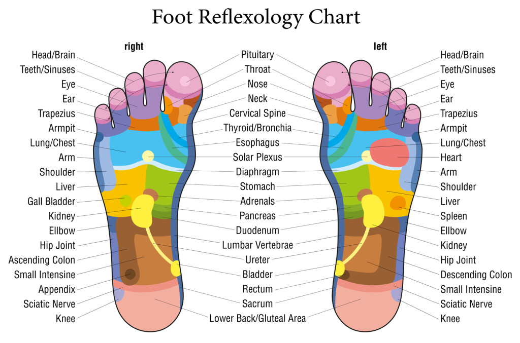 Foot reflexology chart description