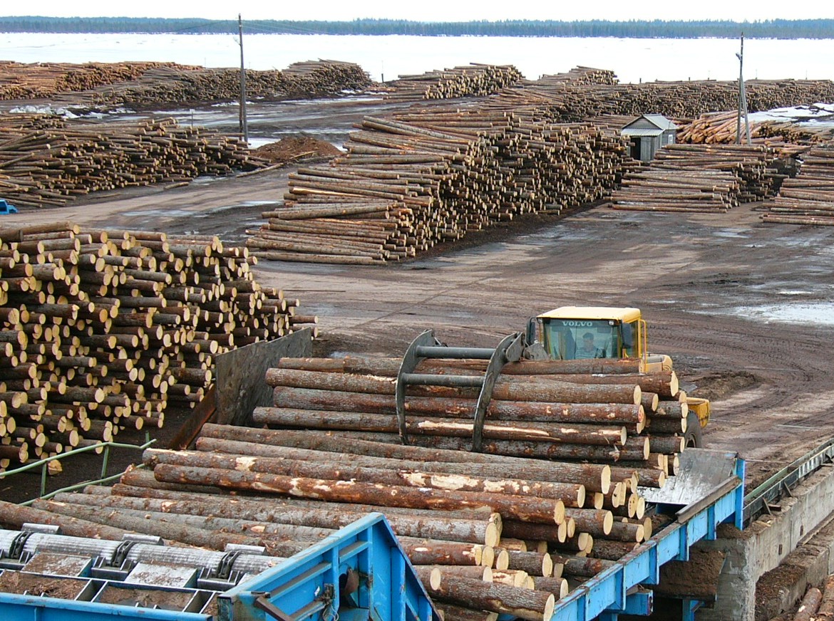 Ťažba dreva v rusku