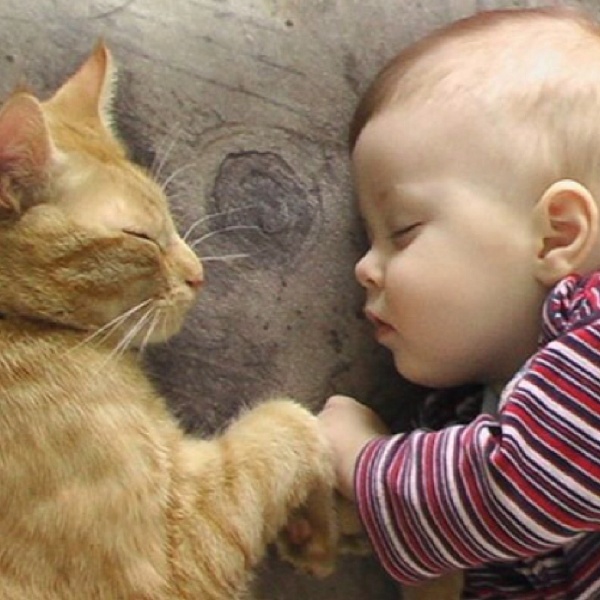 sweet-dreams-baby-sleeping-with-cat