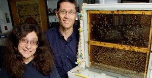 May Berenbaum & Gene Robinson, professors of entomology.