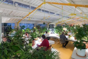 second-home-lisboa-selgascano-interiors-offices-lisbon-co-working_dezeen_2364_col_7-852x568