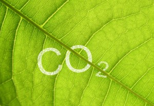 CO2 Emission